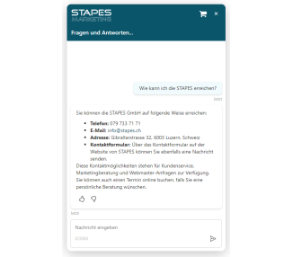 Bot Website (MS Copilot Studio)