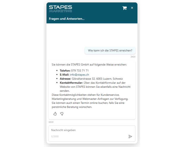 Bot Website (MS Copilot Studio)