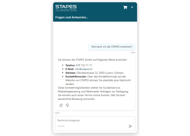 Bot Website (MS Copilot Studio)